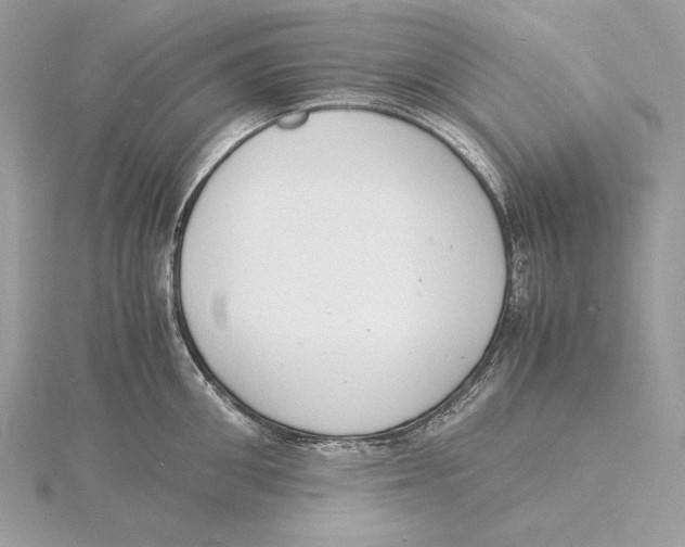 X0000115840906200912041706