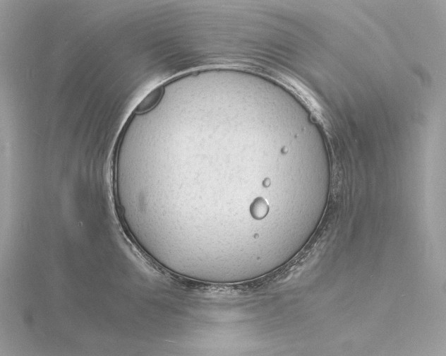 X0000115840907200912041706