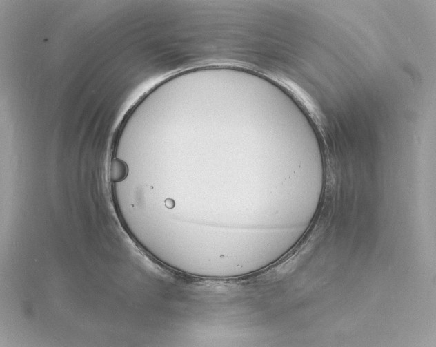 X0000115840910200912041706