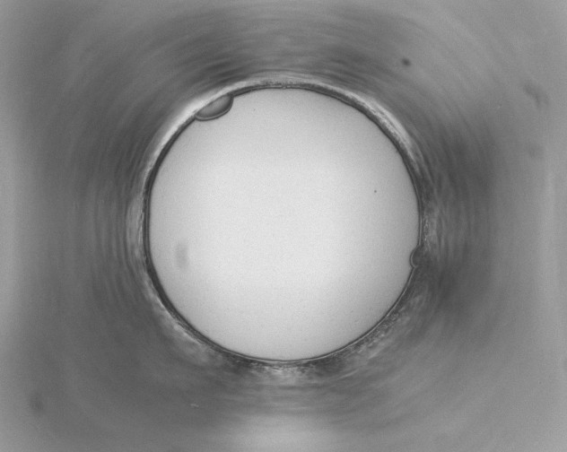 X0000115840911200912041706