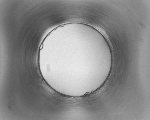 X0000115840912200912041706