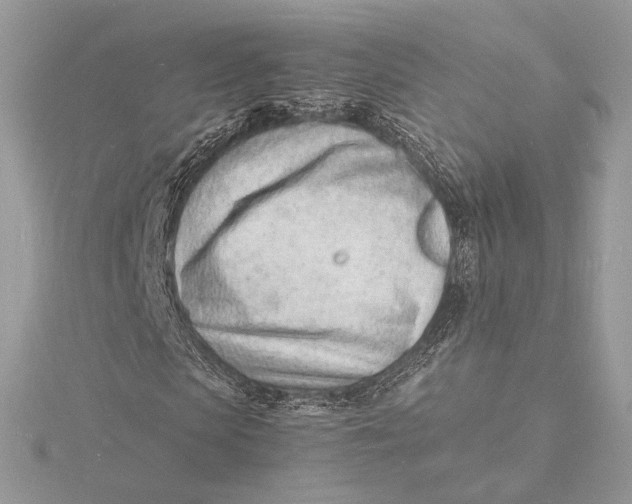 X0000115840913200912041705