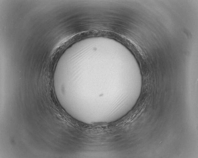 X0000115840919200912041705