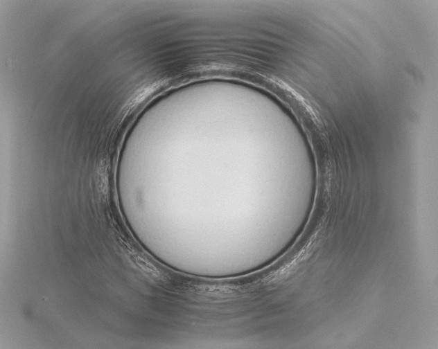 X0000115840921200912041705