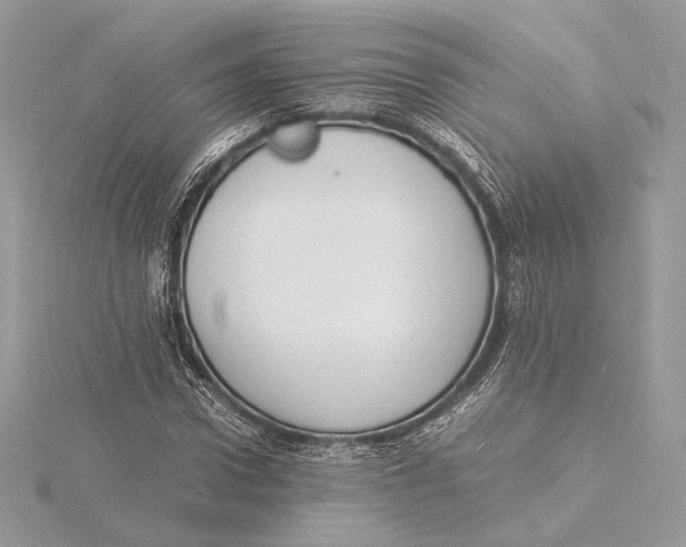 X0000115840922200912041705