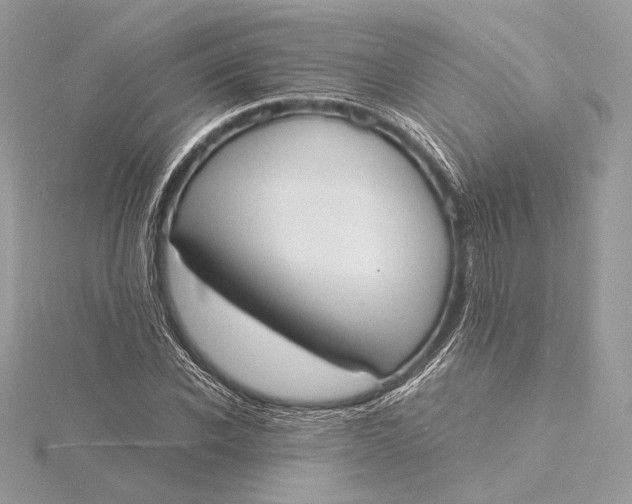 X0000115840926200912041705