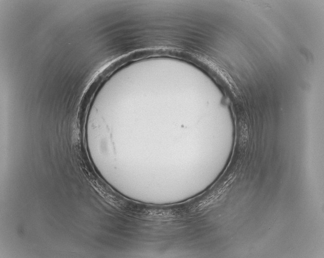 X0000115840927200912041705