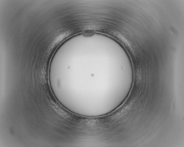 X0000115840930200912041705