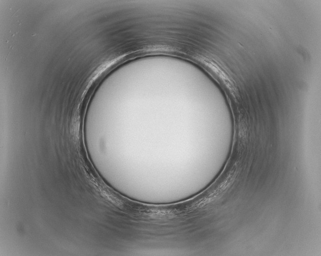 X0000115840933200912041705