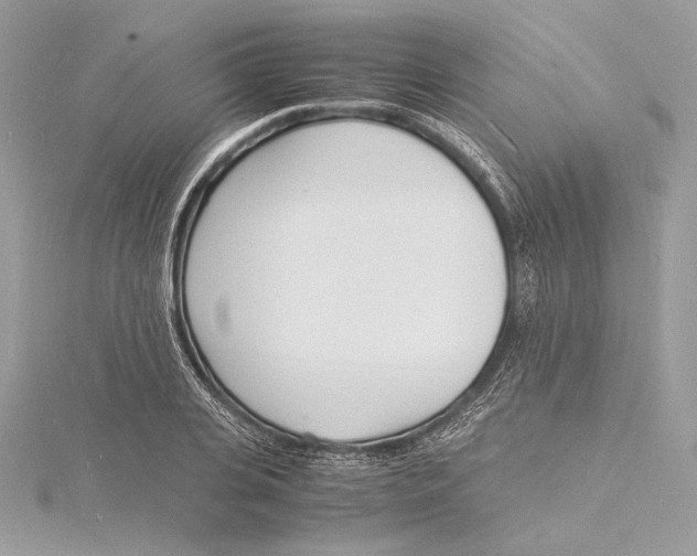 X0000115840935200912041705