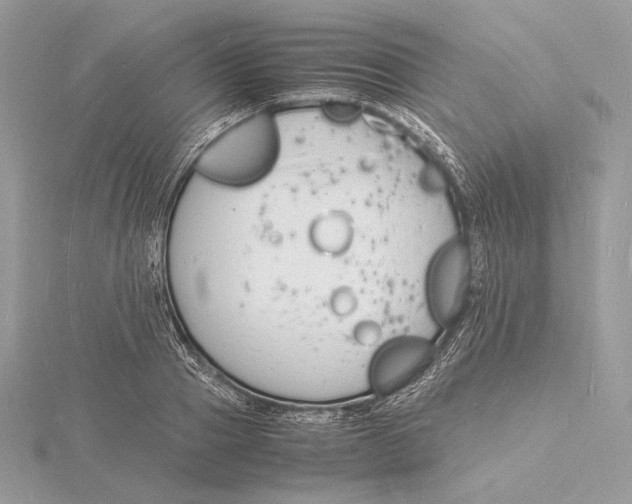 X0000115840937200912041705