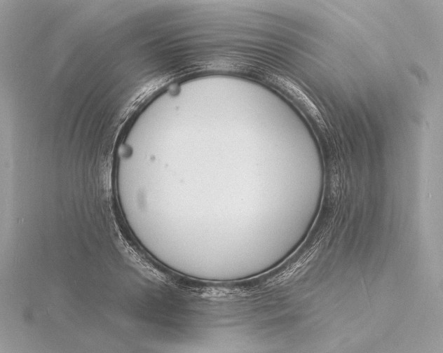 X0000115840938200912041705