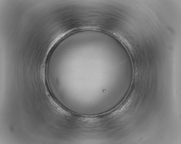 X0000115840941200912041705