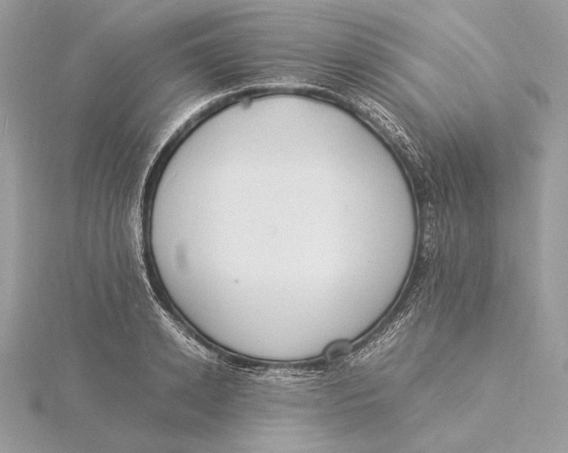 X0000115840942200912041705