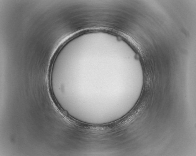 X0000115840943200912041705