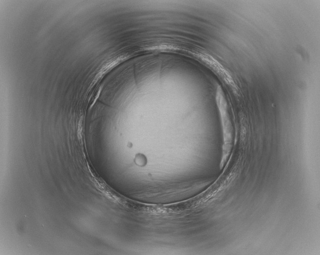 X0000115840945200912041705