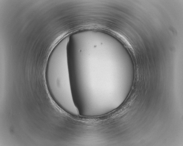 X0000115840946200912041705