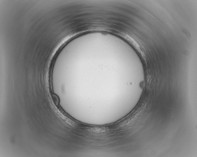 X0000115840947200912041705