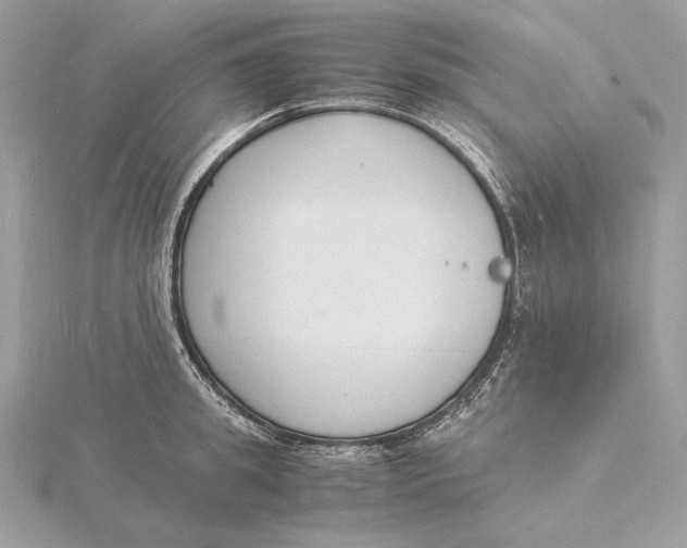 X0000115840949200912041705