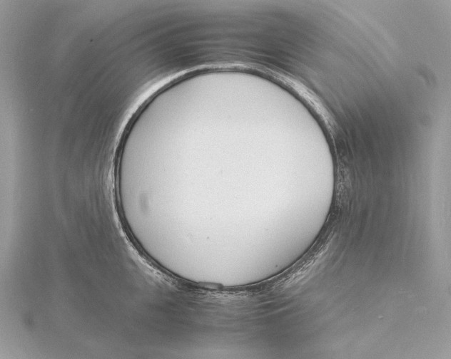 X0000115840951200912041705