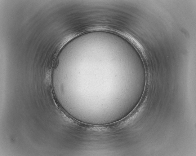 X0000115840953200912041705