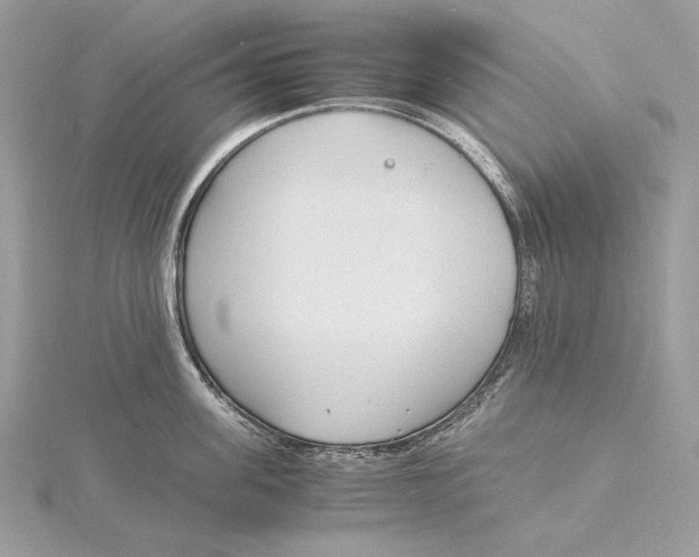 X0000115840955200912041705