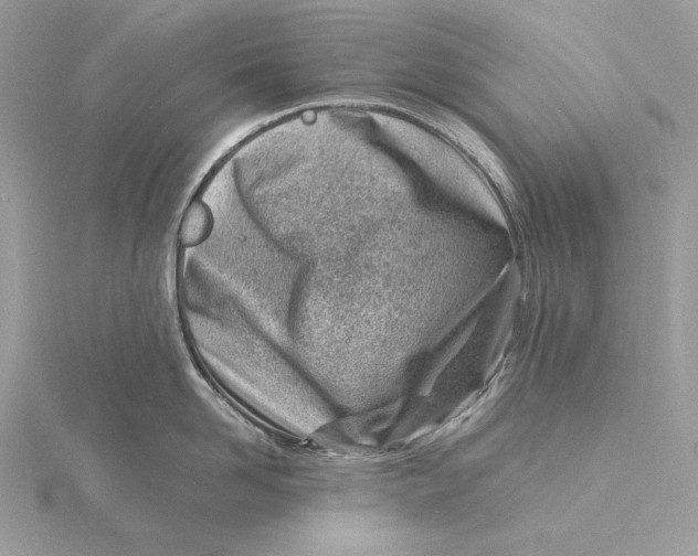 X0000115840958200912041705