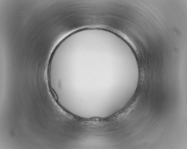 X0000115840959200912041705