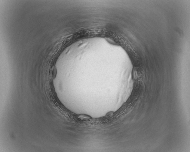 X0000115840961200912041705