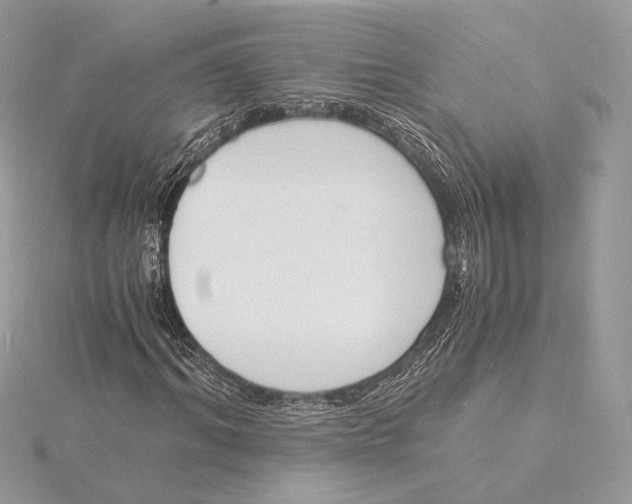 X0000115840964200912041705