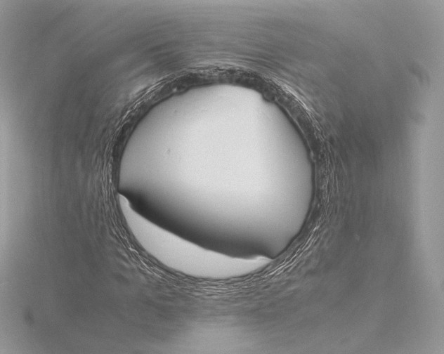 X0000115840965200912041705