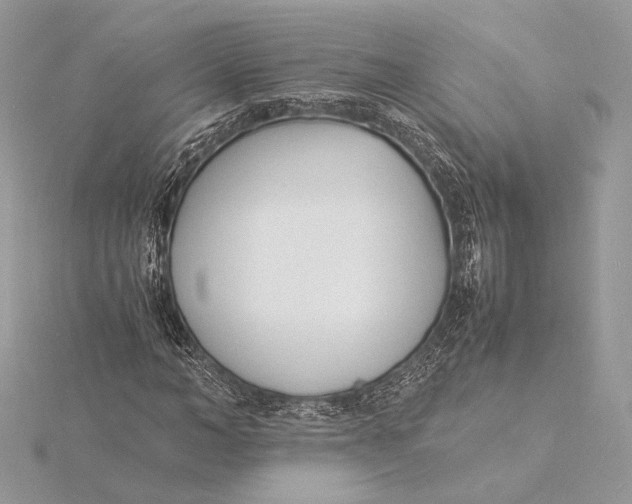 X0000115840966200912041705