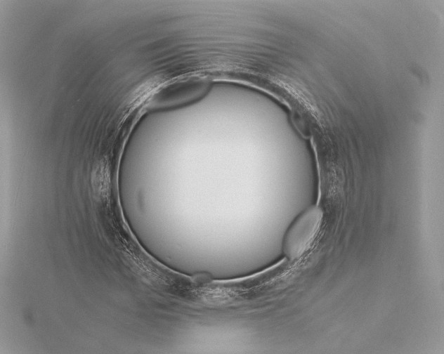 X0000115840969200912041705