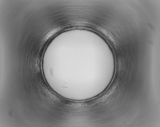 X0000115840970200912041705