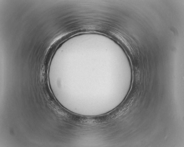 X0000115840971200912041705