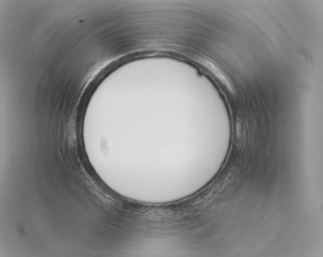 X0000115840972200912041705