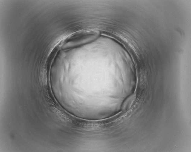 X0000115840973200912041705