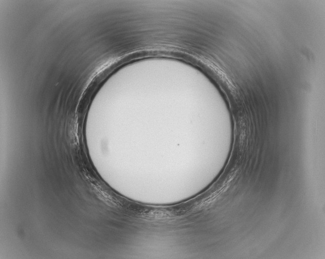 X0000115840974200912041705