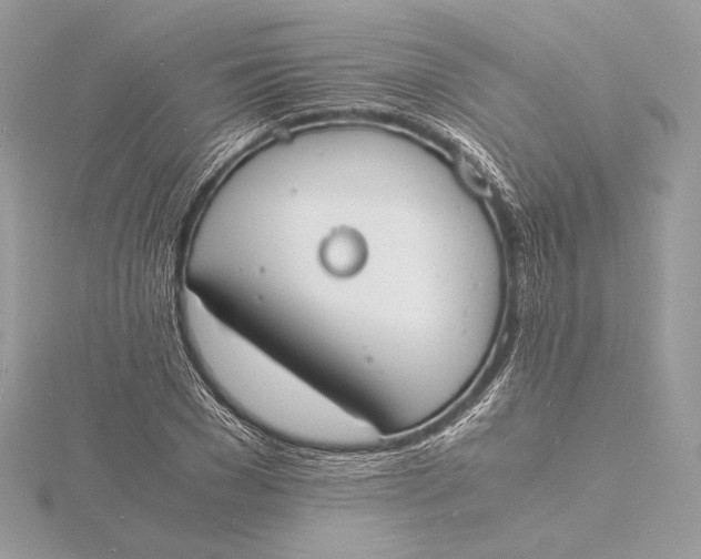 X0000115840977200912041705