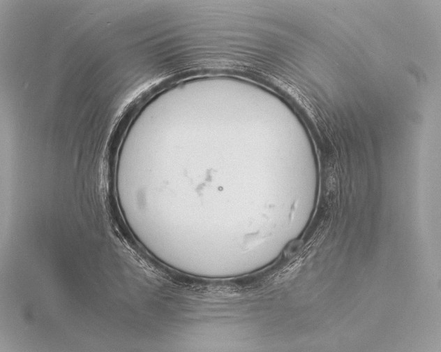 X0000115840979200912041705