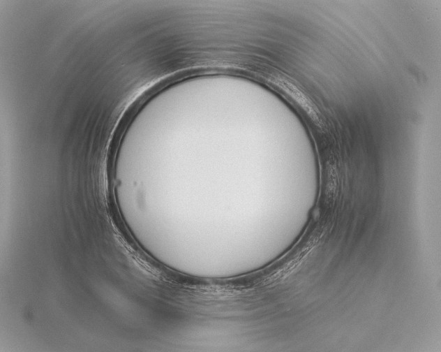 X0000115840980200912041705