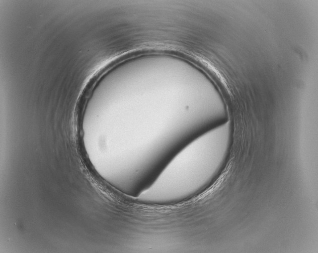 X0000115840981200912041705