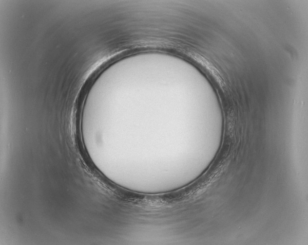 X0000115840983200912041705