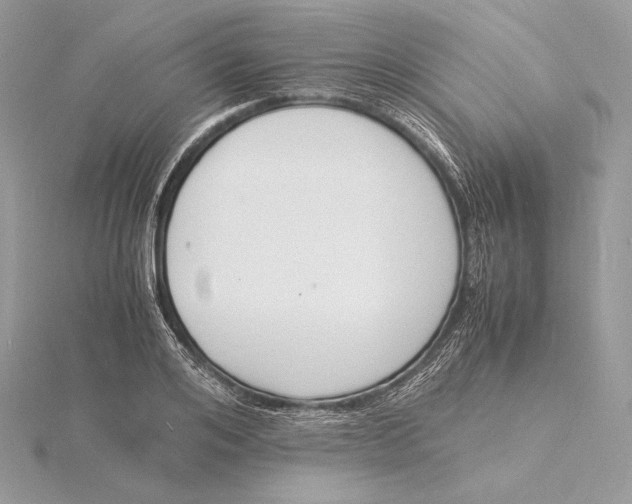 X0000115840984200912041705