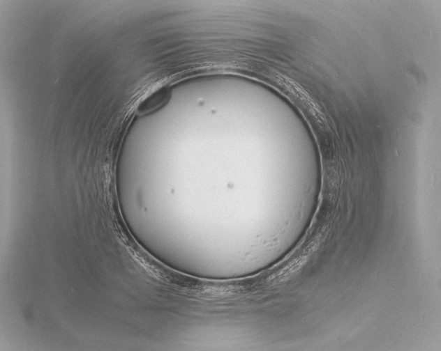 X0000115840985200912041705