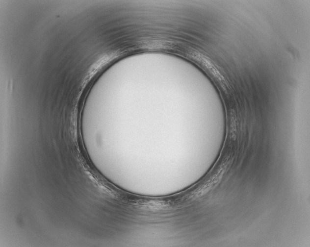 X0000115840986200912041705