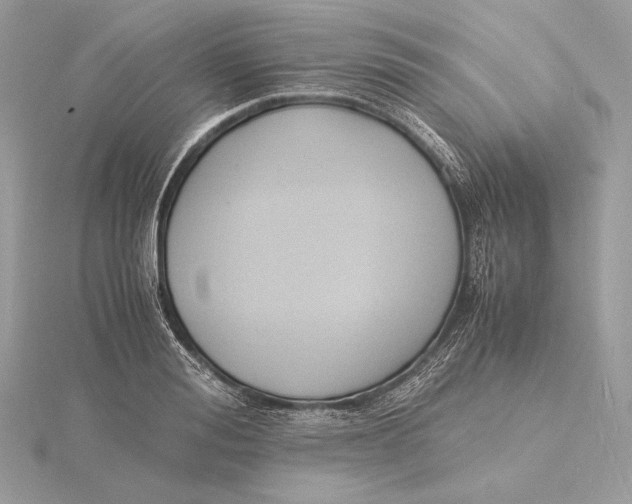 X0000115840988200912041705