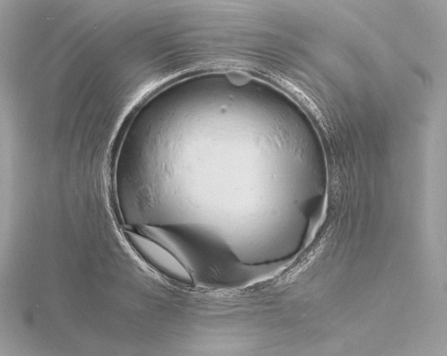 X0000115840989200912041705