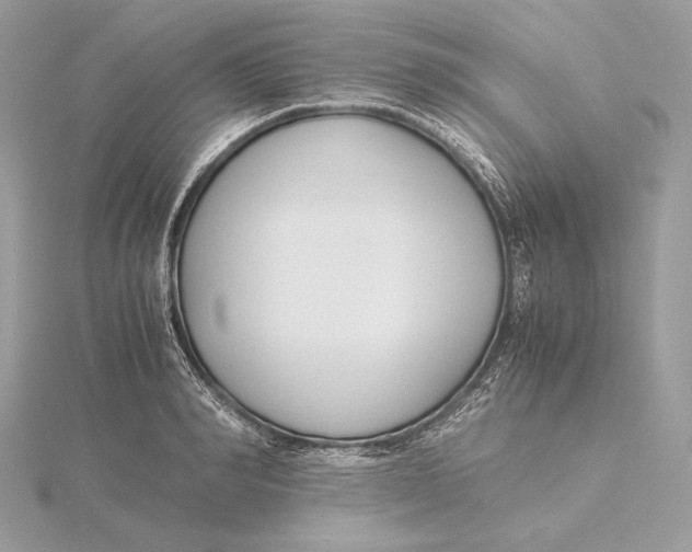 X0000115840990200912041705