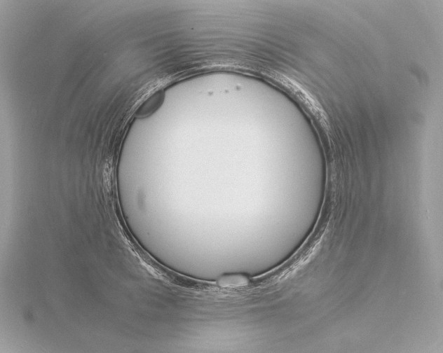 X0000115840993200912041704